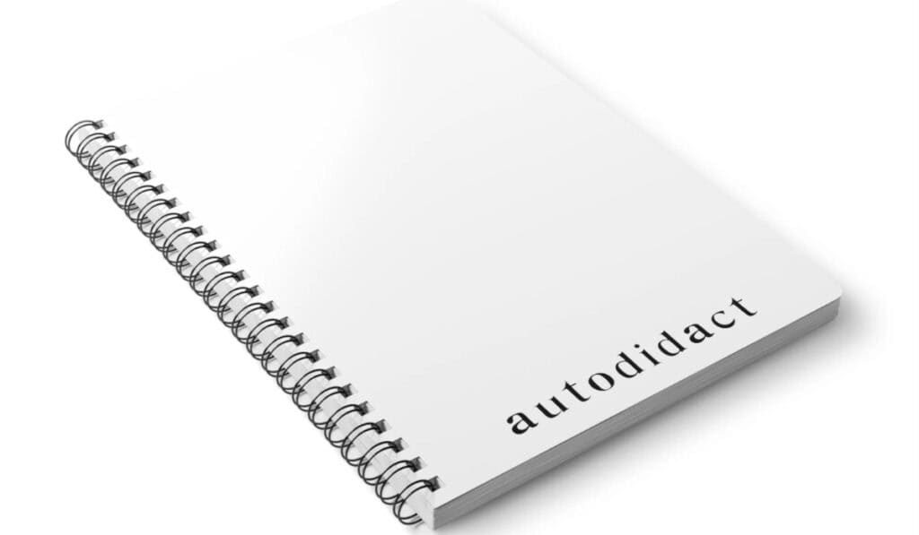 Autodidact betekenis